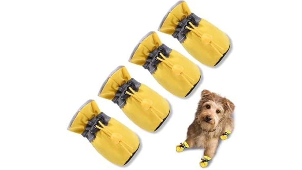 dog shoes protect paws