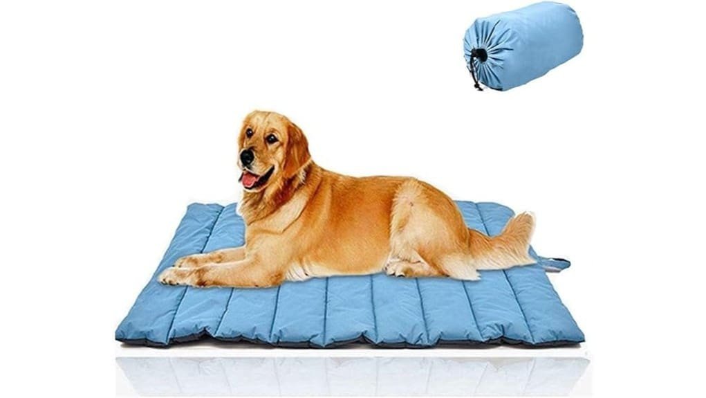 outdoor washable elevated dog bed