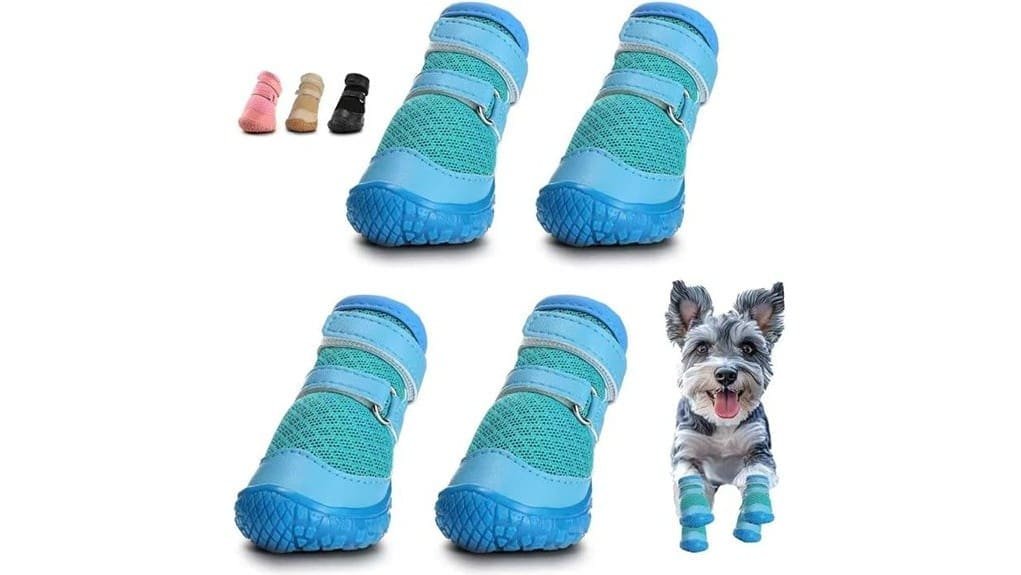 small dog shoe review